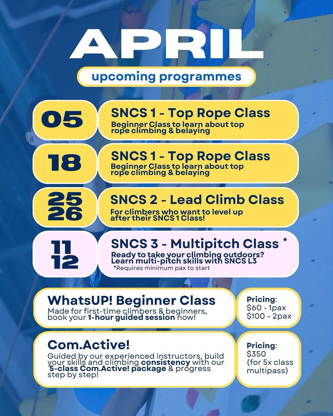 SNCS 2 - Lead Climb Class