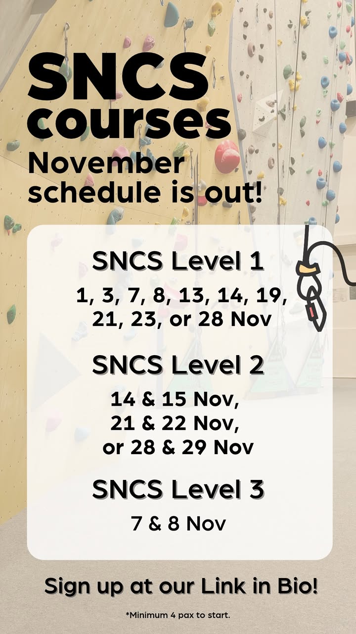 SNCS Level 1